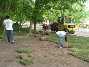 laying sod